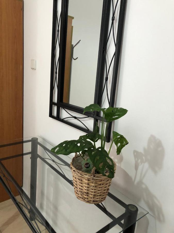 Moschoula Studios Plaka Plaka  Екстер'єр фото